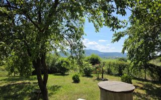 Casa individuala de vânzare | Balata – Soimus | 110 mp| Teren 5.095 mp - Poză 6