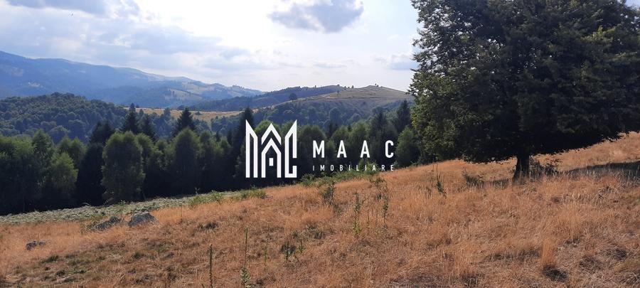 Teren Extravilan | 19.593 MP | Zona Saliste - Poză 1