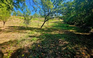 🌳 Teren intravilan 2322 mp, Păcuri – vedere superbă spre pădure! 🏡✨ - Poză 7