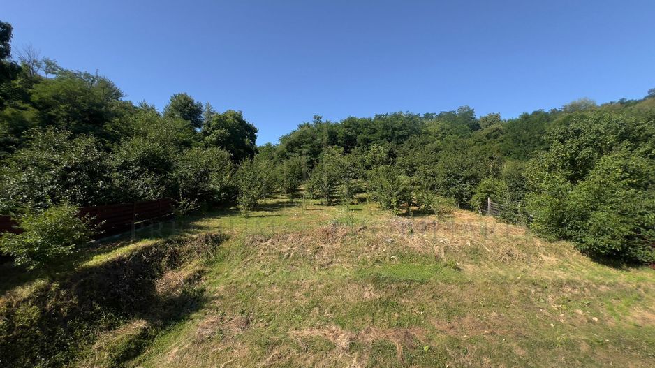 Vilă P+M cu teren de 4.200 mp – Onești - Poză 35