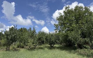 Casă de renovat I teren 1400 mp I Livadă I Central Săcel - Poză 5