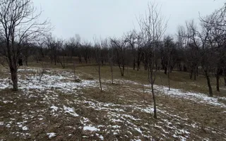 Teren 4652 mp cu izvor pe el, Lunca Mare, lângă păstrăvăria Doftana - Poză 13
