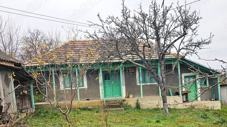 Casa + teren generos 5000 mp intravilan cu livada tanara si vita de vie productiva. - Poză 1