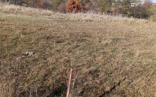 Teren langa Padure Dragomirna 40 Ari ISuceava/Dragomirna I 65.000Euro - Poză 7