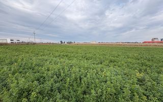 Teren de vânzare | 67 ari | Intravilan | Rădăuți - Poză 5