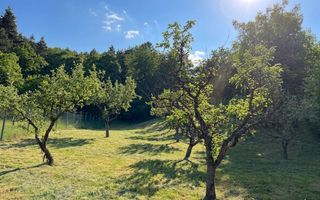 Casă rustică de vânzare în Tilișca, (Marginimea Sibiului) - Poză 22
