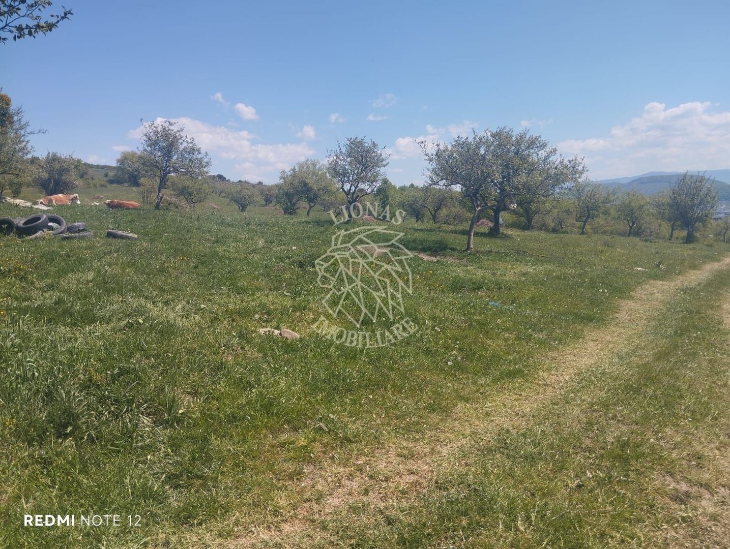Teren 4400 mp -Parcelabil - panoramic - Sarata - Poză 3