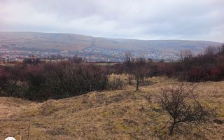 Teren de vânzare intravilan 8500 mp Chinteni Cluj oportunitate investitie - Poză 2