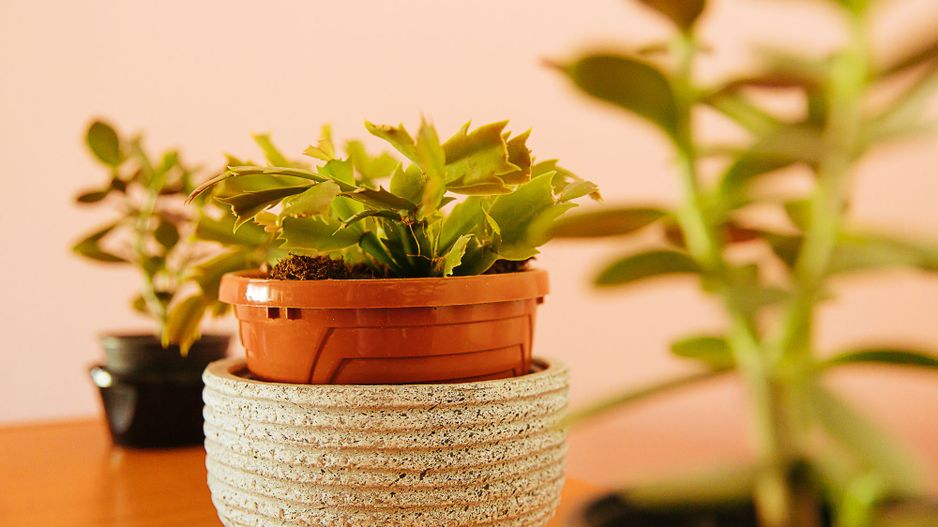 Exclusivitate - 2 camere, lângă Dealul Melcilor, aproape de Parcul Trandafirilor - Poză 9