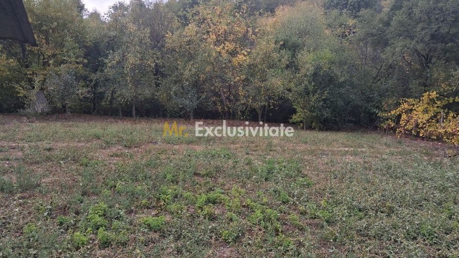 Casă tradițională cu teren generos – Borosteni, Peștișani, jud. Gorj - Poză 3