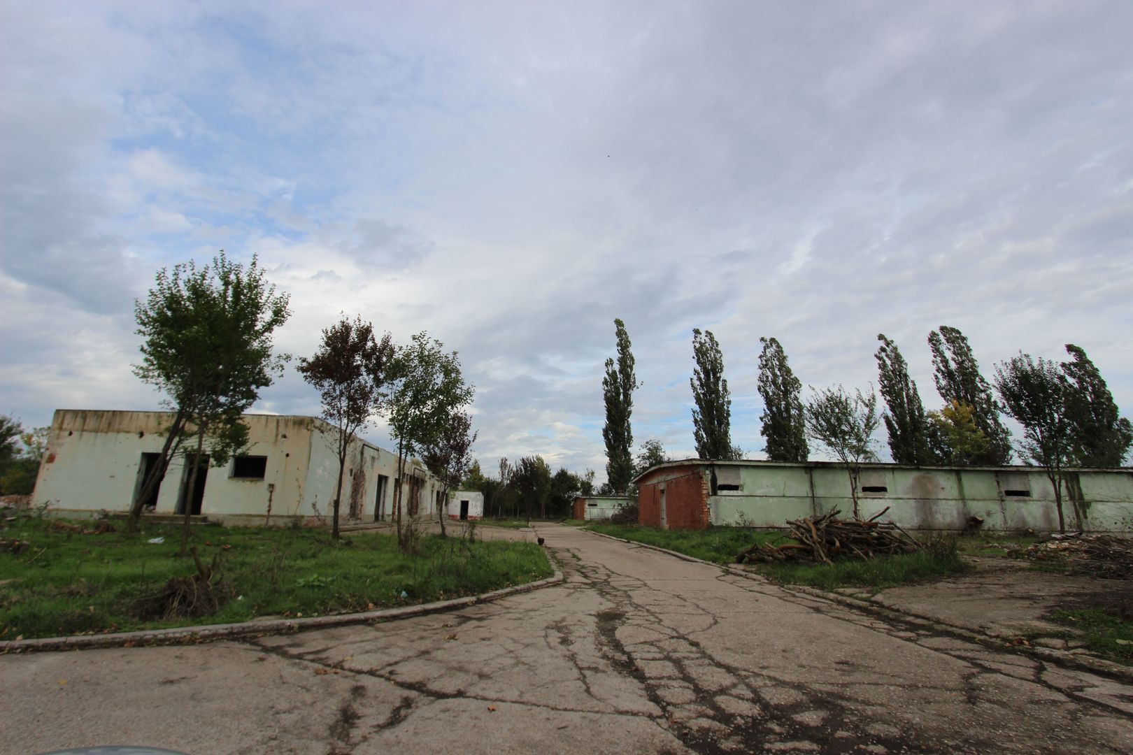 Vanzare hale Mosnita Noua-fosta Ferma 7 - Poză 11