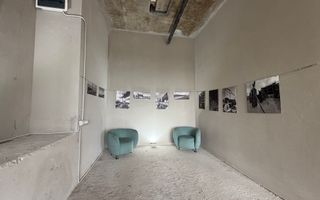 Vânzare, spațiu comercial, 245 mp, Torontal, Timișoara - Poză 8