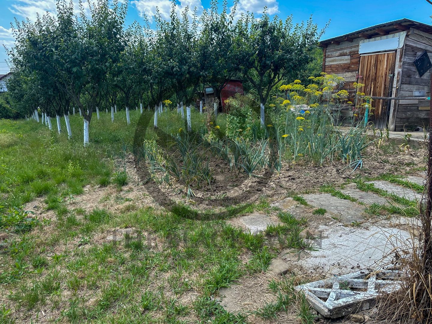 Casa cu 5 camere de vanzare | 700 mp teren | Valea Dulce, Prahova - Poză 20