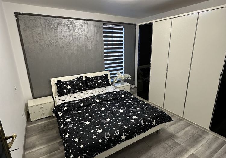 Casa 4 camere Voluntari - Poză 4