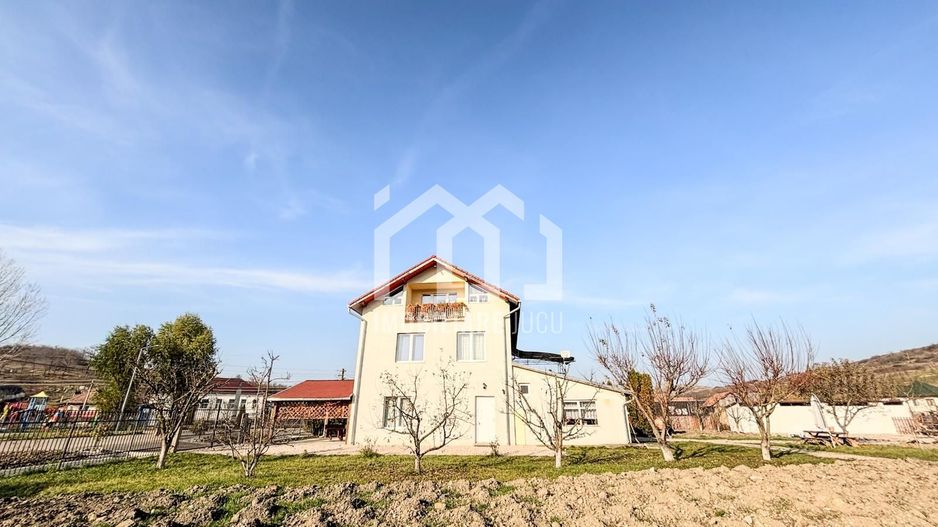 Casa individuala cu 12 camere, Potential Turistic, Visea, Comuna Jucu - Poză 45