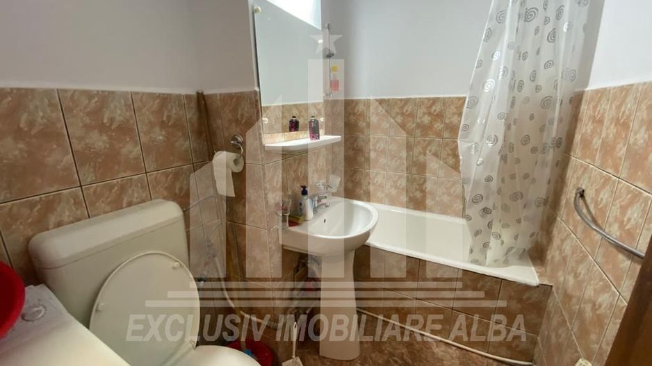 Apartament cu o camera in Cetate - Poză 6