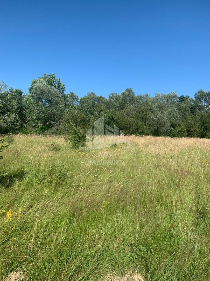 Teren in zona turistica Porumbacu de Sus - Poză 2