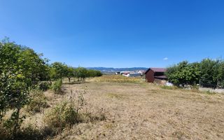 De vanzare teren 10.651mp intravilan, parcelabil, Oarda de Sus - Poză 4