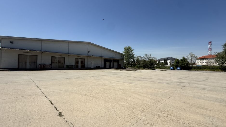 Depozite logistice 5.000 mp de vânzare, Dragomirești-Vale, Centură - Poză 3