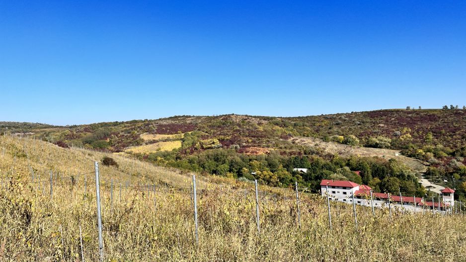 14Ha podgorie, livada pomi fructiferi, si conac 3000mp - Poză 9