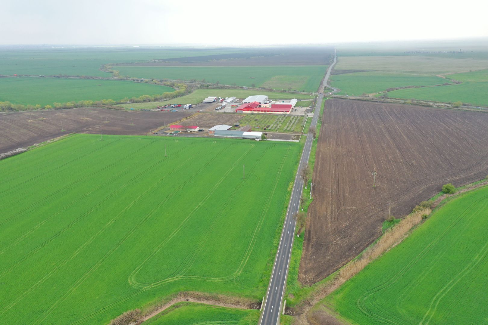 Teren industrial Dudestii Noi - Poză 5