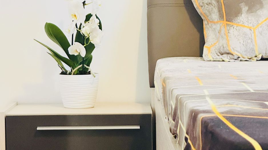 Casa individuala cu 4 dormitoare, 184 mp | Garaj & Gradina | Fropin - Poză 12