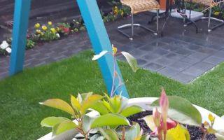 Apartament 3 camere | 54 MP | Grădină  35 mp | Cartier Kastani - Poză 5