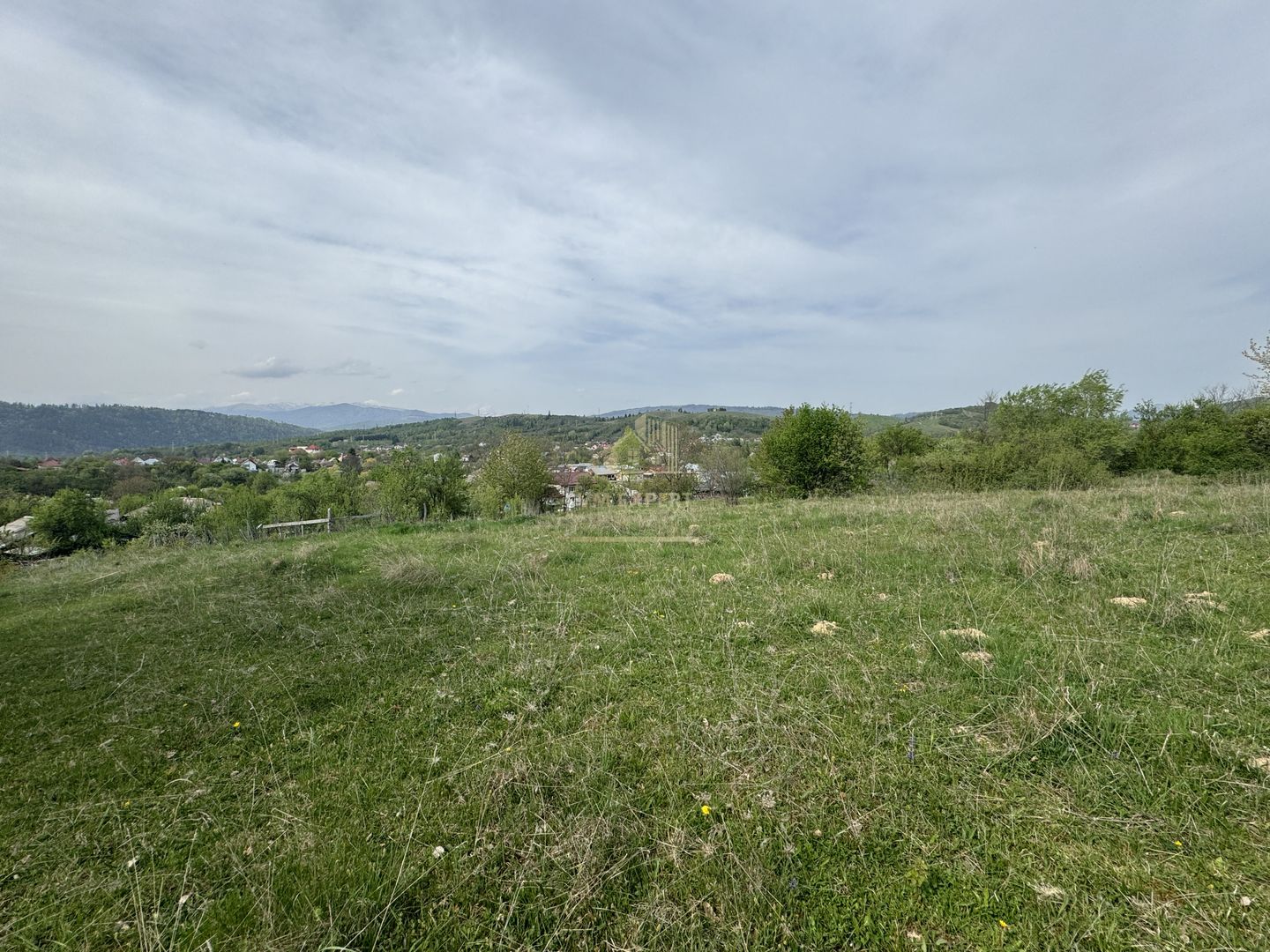 TEREN INTRAVILAN, 7472 MP, VALEA MARE PRAVAT, ARGES - Poză 8