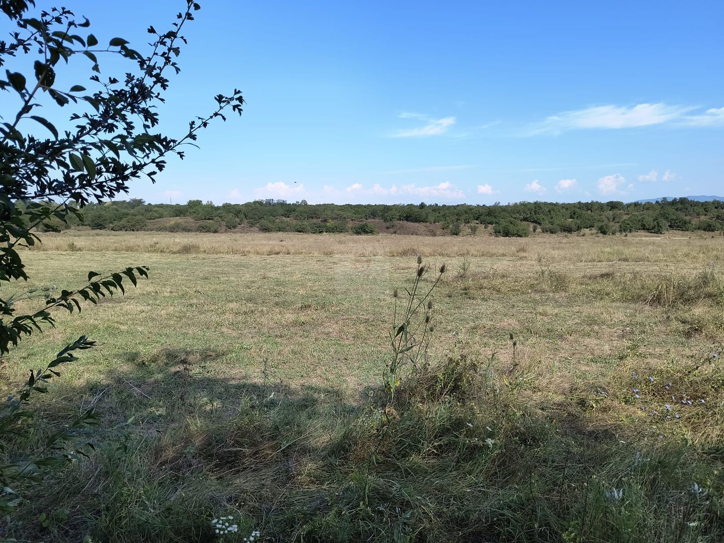 Teren intravilan investitie - Poză 1