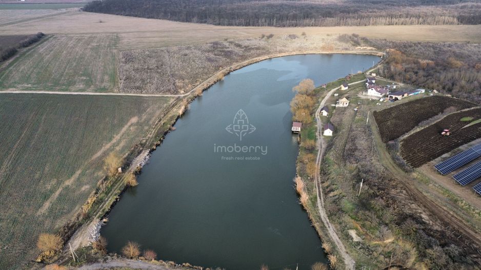 Vanzare balta pescuit, Jud Giurgiu, sat Valter Maracineanu - Poză 4