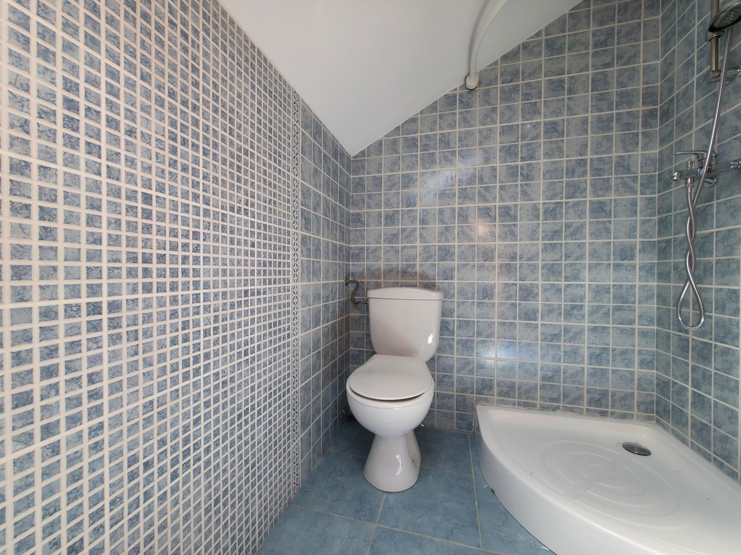 Vilă de inchiriat 5 dormitoare curte 300 m Iancu Nicolae Baneasa - Poză 13