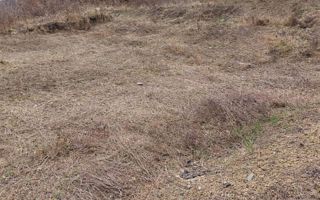 Teren intravilan 550 mp cu utilitati-ideal casa-Zona Valea Rusului - Poză 2