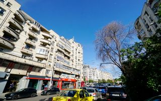 Spatiul comercial 100 mpu str.Sf Vineri colt cu B-dul Corneliu Coposu - Poză 10