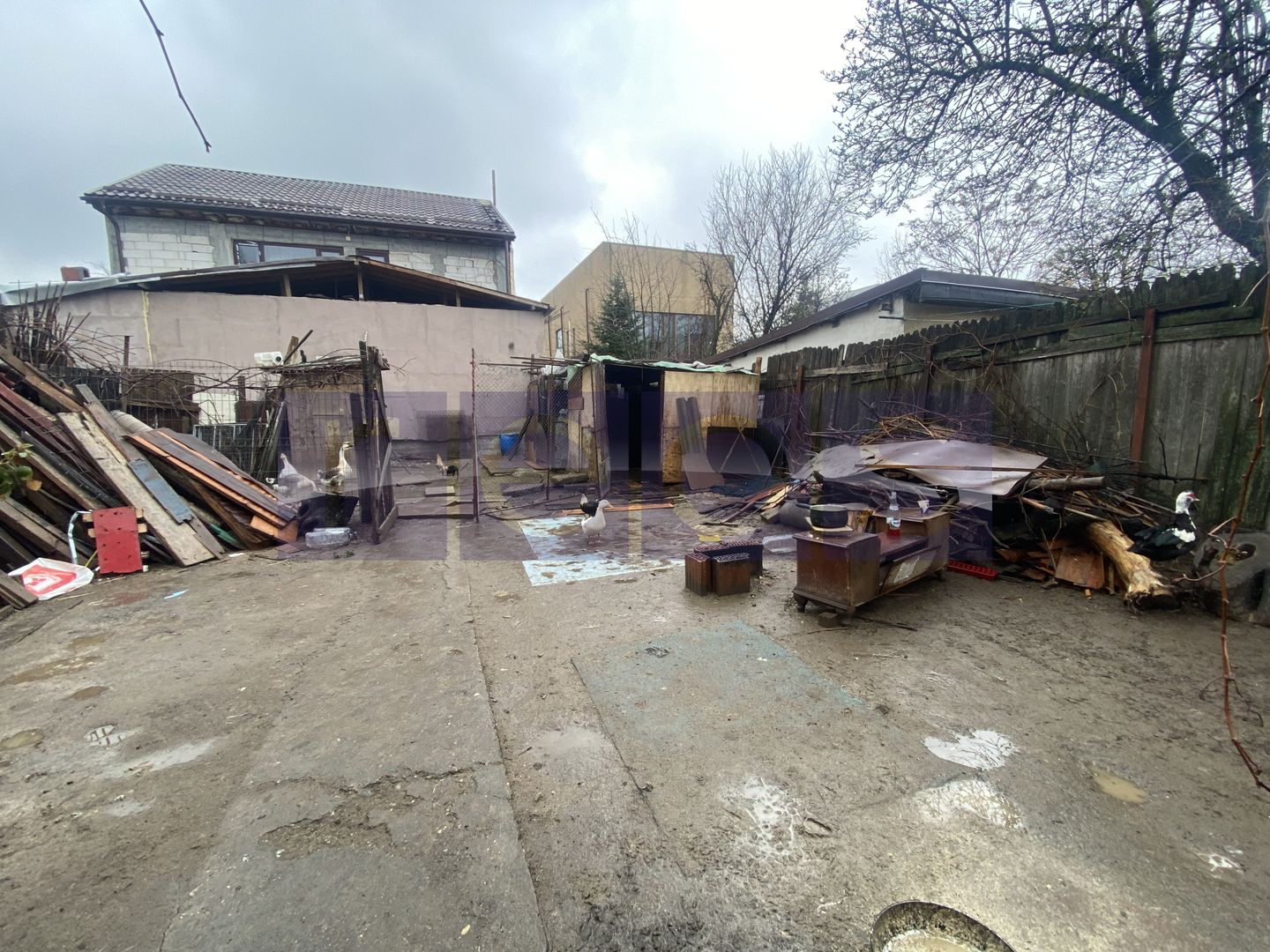 TEREN 800MP | STRAULESTI - Poză 2