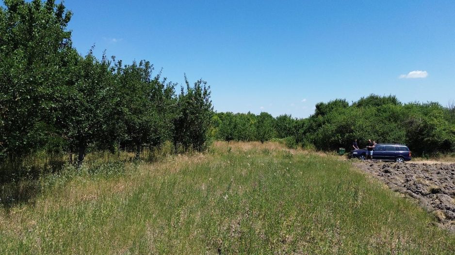 Teren cu livadă – 9.000 mp –la 400 m de ieșirea din Chișinau Cris - Poză 7