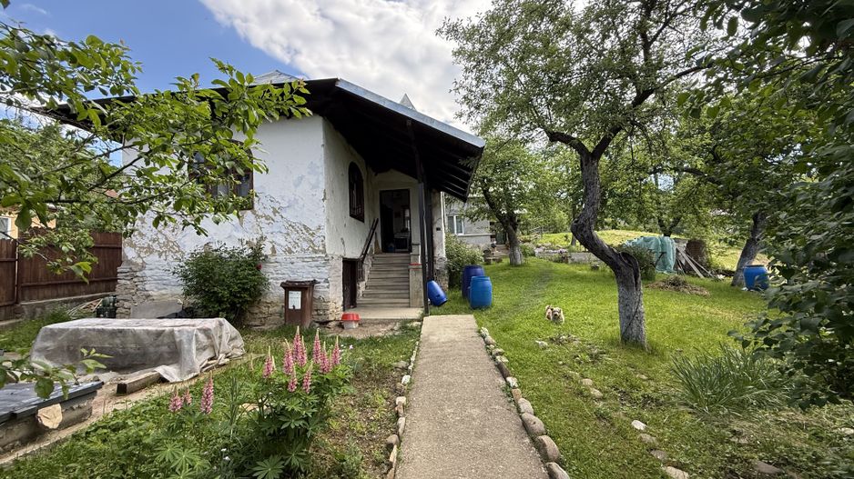 2 Case + teren 1390 mp langa parcul central Provita de Sus - Poză 34