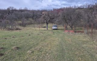 Teren de vanzare | Orlat | Extravilan - Poză 7