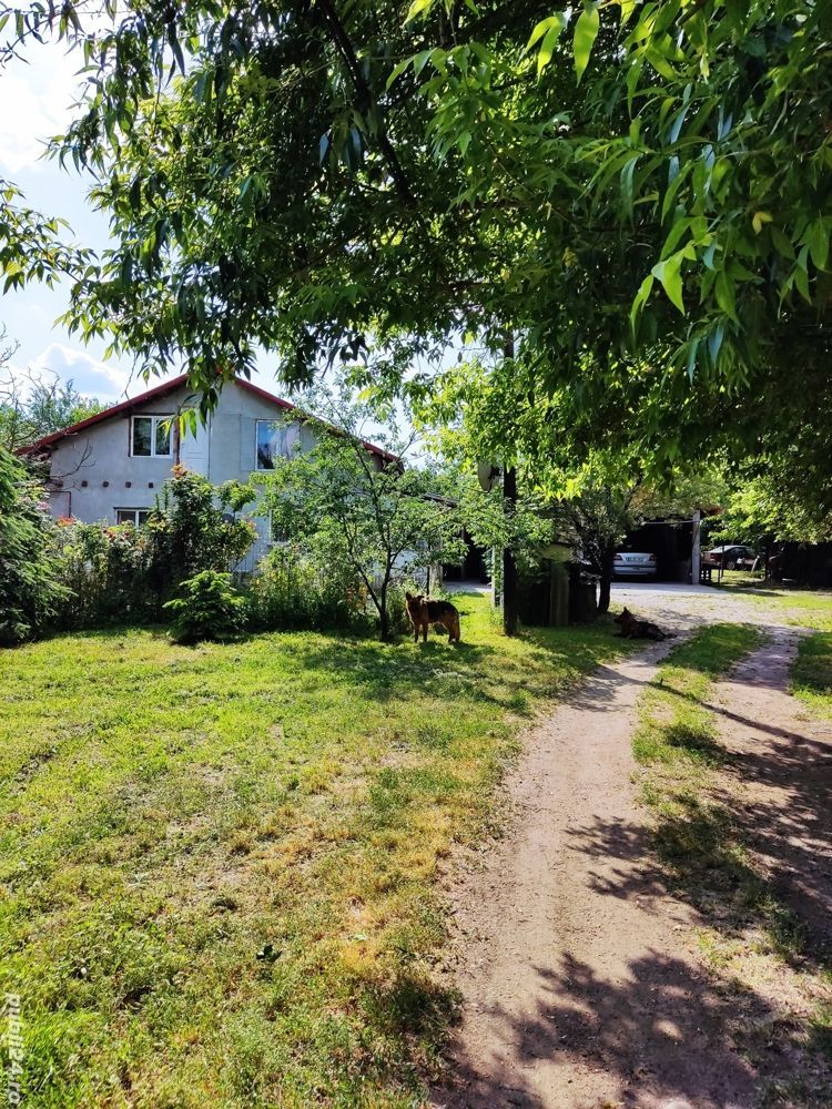Casa de vanzare - Poză 4
