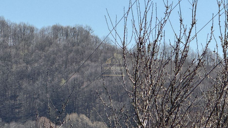 TEREN INTRAVILAN 2800MP CAMPULUNG ZONA PESCAREASA - Poză 5