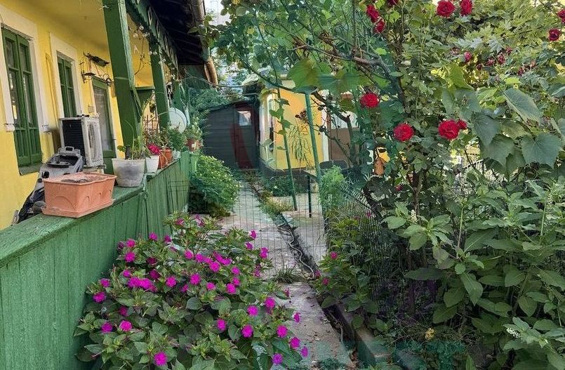"Casuta bunicii" cu teren 344m2 zona Mărțișor lângă parcul Orășelul Copiilor - Poză 3