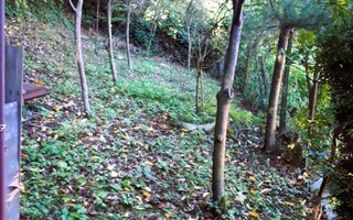 Casă Valea Roșie, Baia Mare - Poză 15