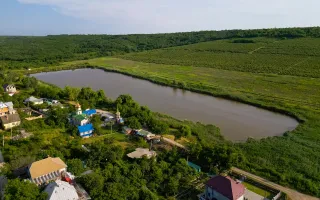 Vânzare, teren agricol 6 ari, Codru - Poză 11