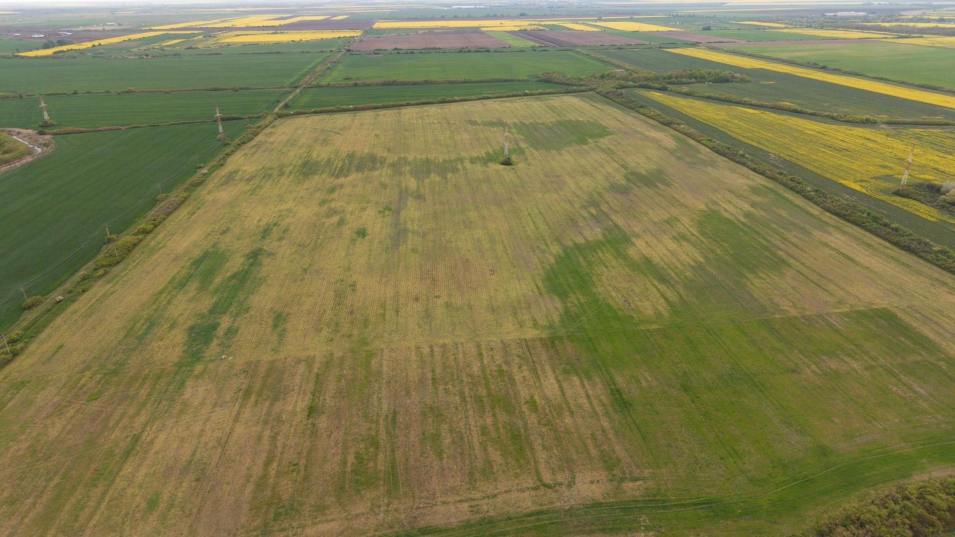 Teren investițional strategic 44.700 mp Arad Vest - Poză 9