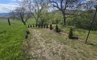 Teren 5400 mp superb cu livada si vedere spre munti Orlat - Poză 7