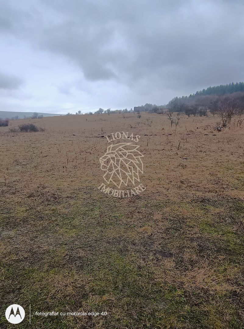 Teren 10000mp intravilan Chinteni 14 case aprobate  Investiție dezvoltator - Poză 4