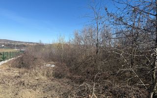 Teren intrevilan Sibiel cu toate utilitatile - Poză 2