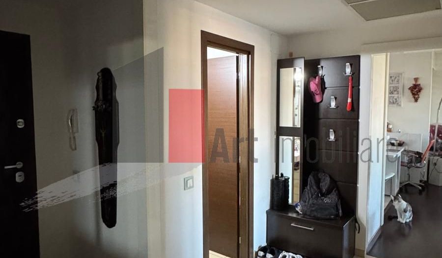 Apartament 3 camere Parcul Tineretului - Poză 21