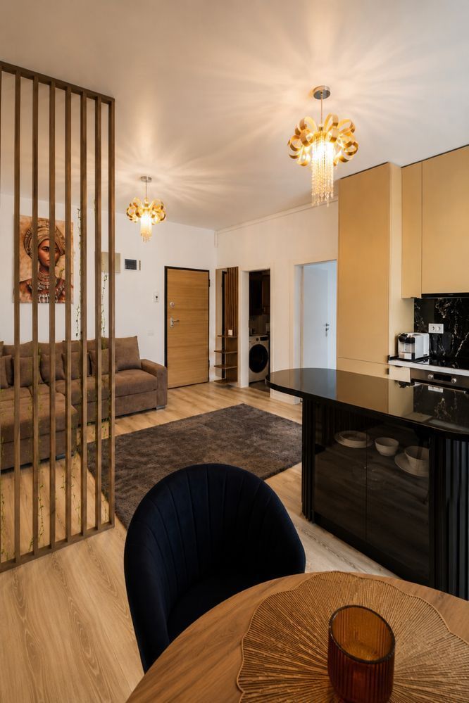 De Inchiriat Apartament 2 camere, Viilor - Poză 1