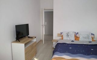 3 camere PET FRIENDLY,  boxa, parcare, Maurer Tractorul - Poză 5