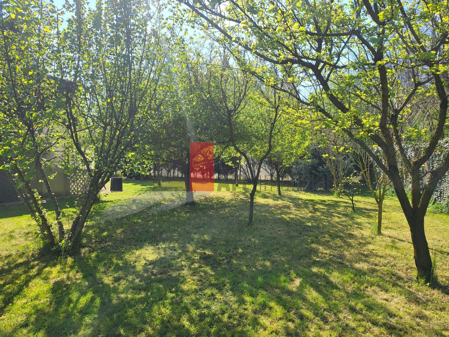 Silistea Snagovului | Casa de vis | Locatia de vis - Poză 9